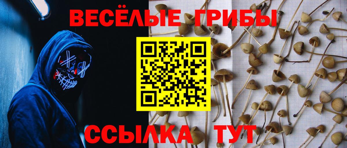 Галлюциногенные грибы мицелий Владивосток